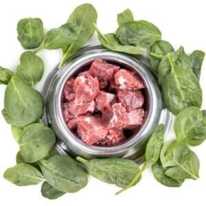 Overhead view on serving of raw barf beef meat chunk for dog meal with spinach vegetable